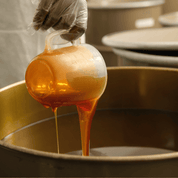 Signature Honey Set — 12 oz Jar + To Go Packets (20 ct)