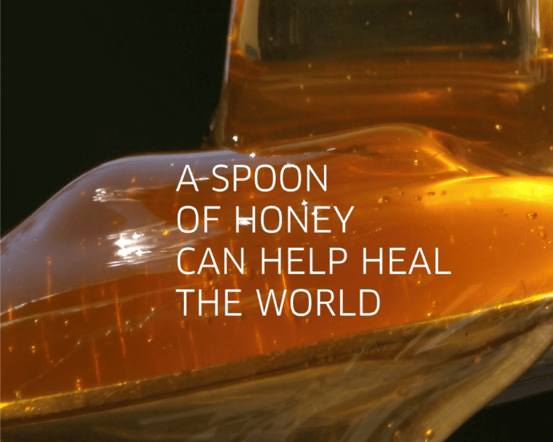 african sustainable honey