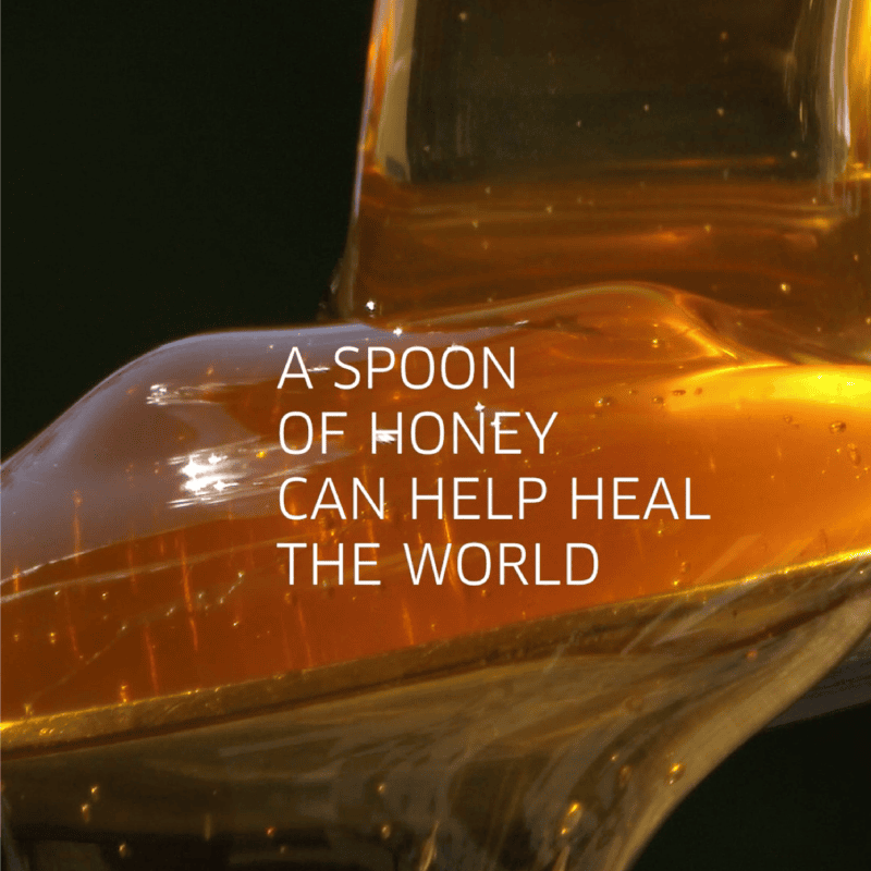african sustainable honey