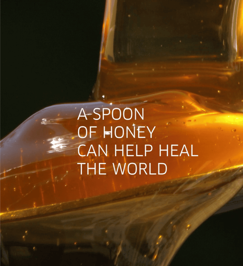 african sustainable honey